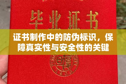 鸟松证书制作中的防伪标识，保障真实性与安全性的关键